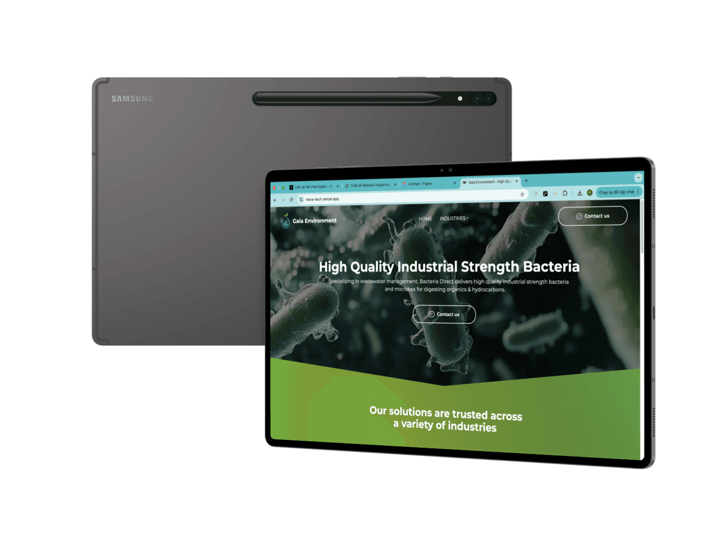 Hệ Thống Học Trực Tuyến – Meratech