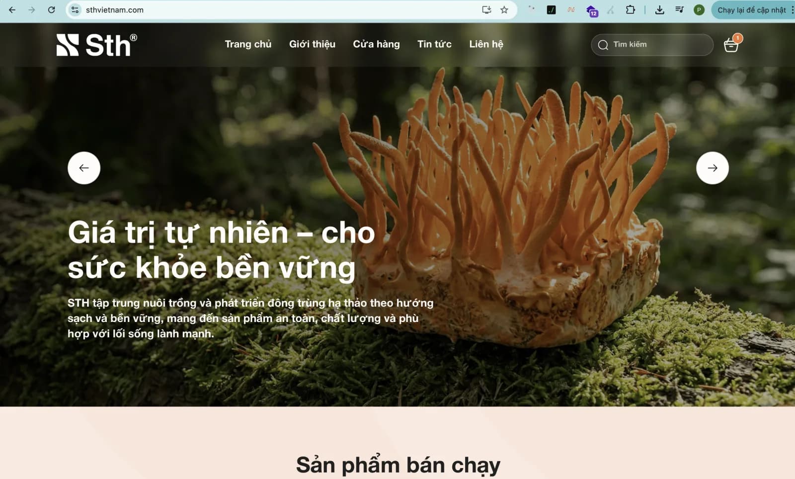 Website Bán Đông Trùng Hạ Thảo STH - Thương Hiệu Uy Tín | Sản Phẩm Chất Lượng Cao