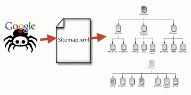 Hình ảnh đại diện của bài viết: Sitemaps XML: Hướng Dẫn Tạo Và Submit Sitemap 2026