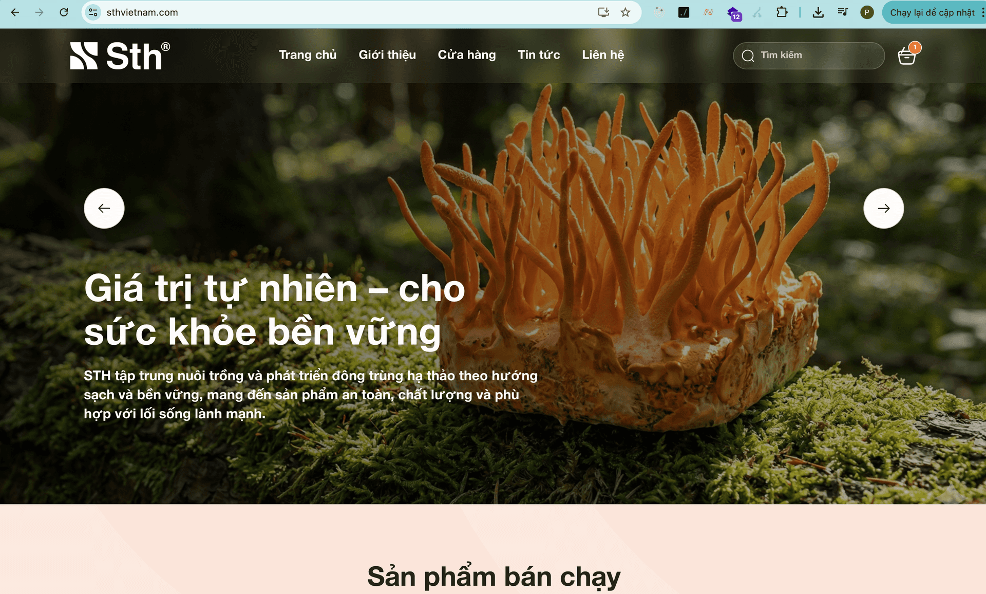 Website Bán Đông Trùng Hạ Thảo STH - Thương Hiệu Uy Tín | Sản Phẩm Chất Lượng Cao