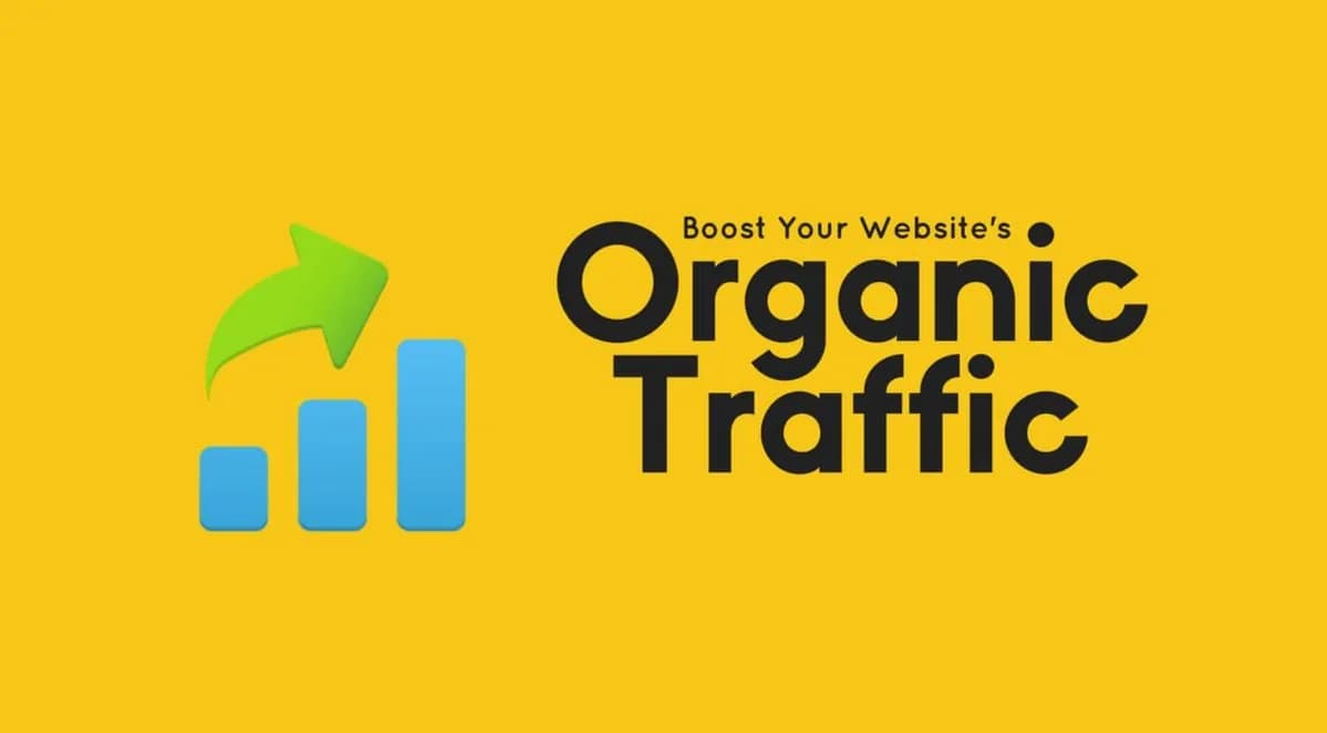Hình ảnh đại diện của bài viết: Google Không Index / Tụt Traffic Sau Migrate