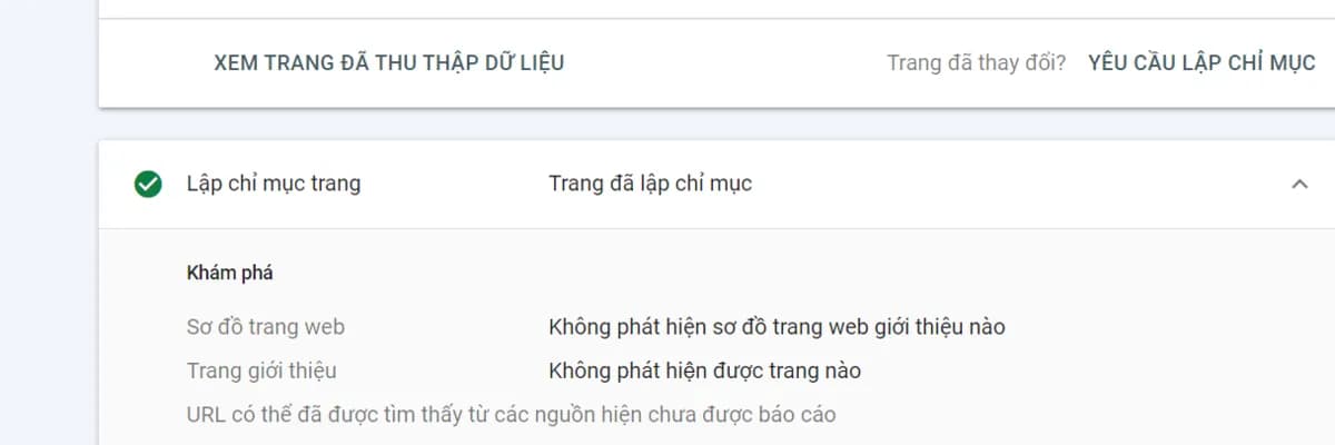 Hình ảnh đại diện của bài viết: Phân tích & Khắc phục lỗi "Discovered – currently not indexed" | Tấn Phát Digital