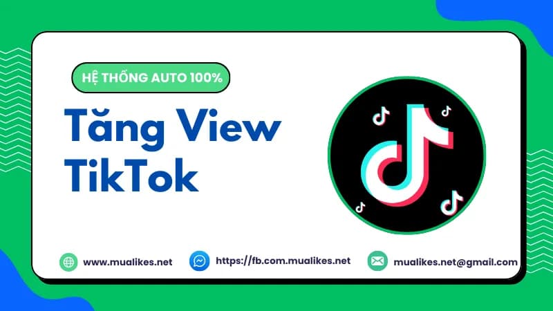 Hình ảnh đại diện của bài viết: Top 7 Web Tăng View TikTok Uy Tín, An Toàn Nhất 2026