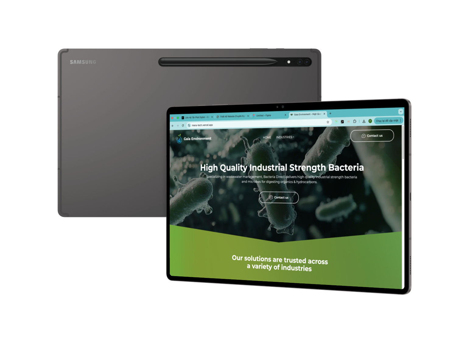 Hệ Thống Học Trực Tuyến – Meratech