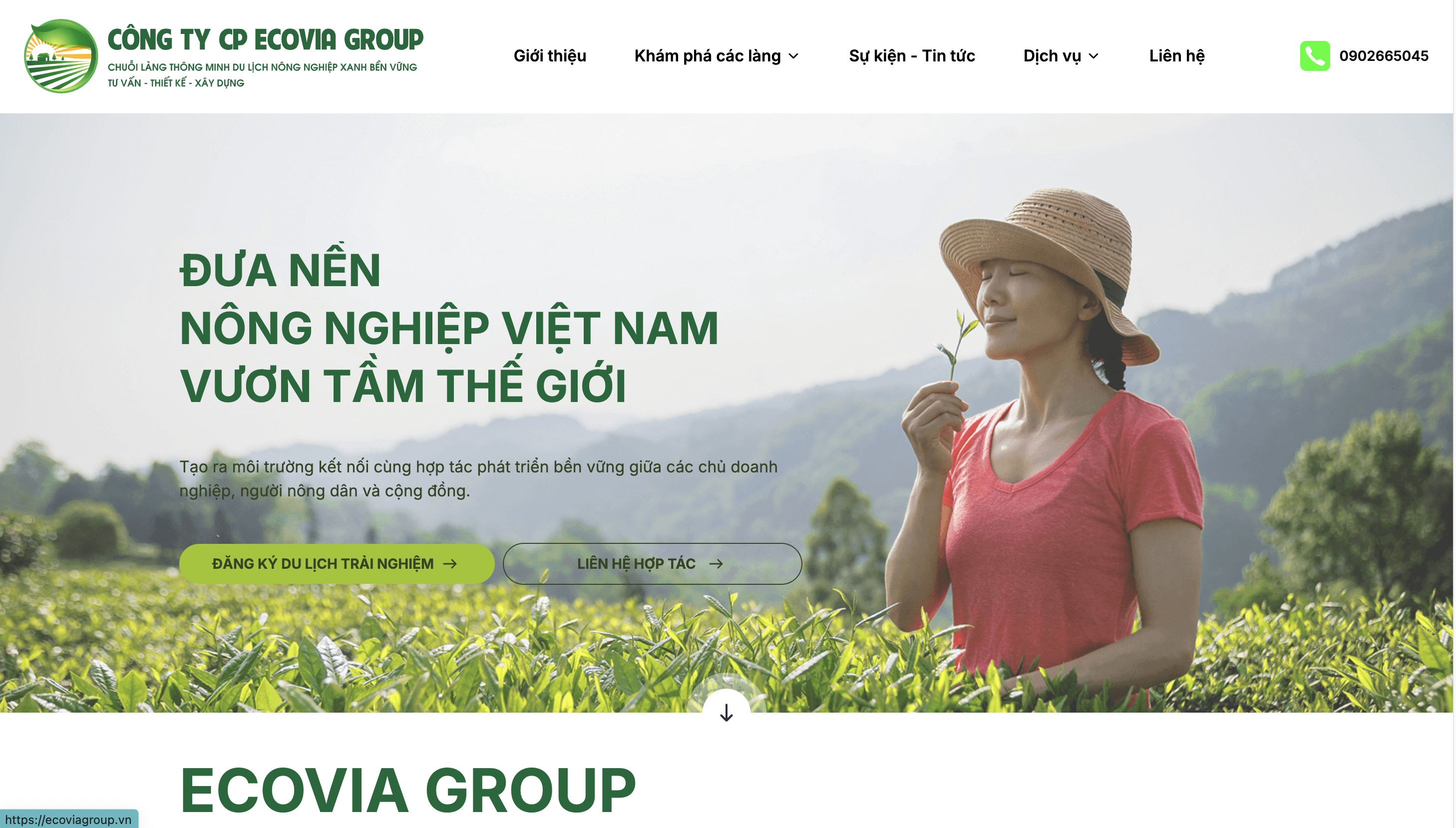 Website ECOVIA GROUP